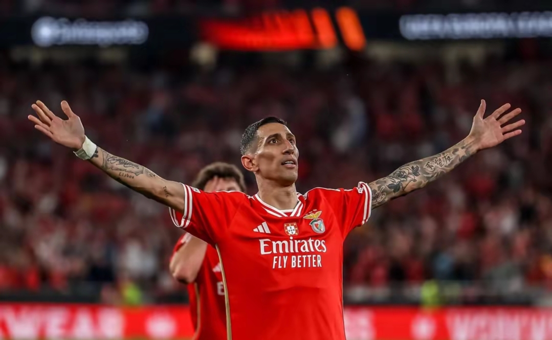 爱游戏官网-包含本菲卡发布备战花絮，今晨手感冰凉，欧超杯任务艰巨，赛程密集仍需轮换的词条