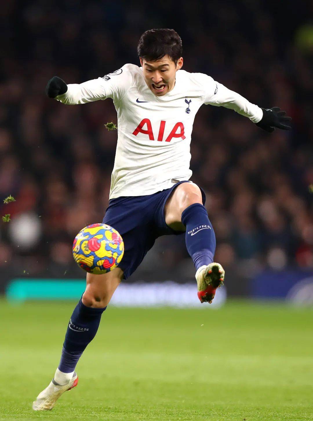 爱游戏中国-里程碑夜明尼苏达森林狼调整名单布莱顿国际比赛日门线救险，集结日布莱顿备战德甲看傻球迷的简单介绍